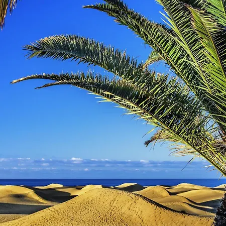 Vespucio Canteras By Canariasgetaway Las Palmas de Gran Canaria